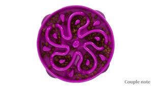 犬用早食い防止食器1位:Kyjen
